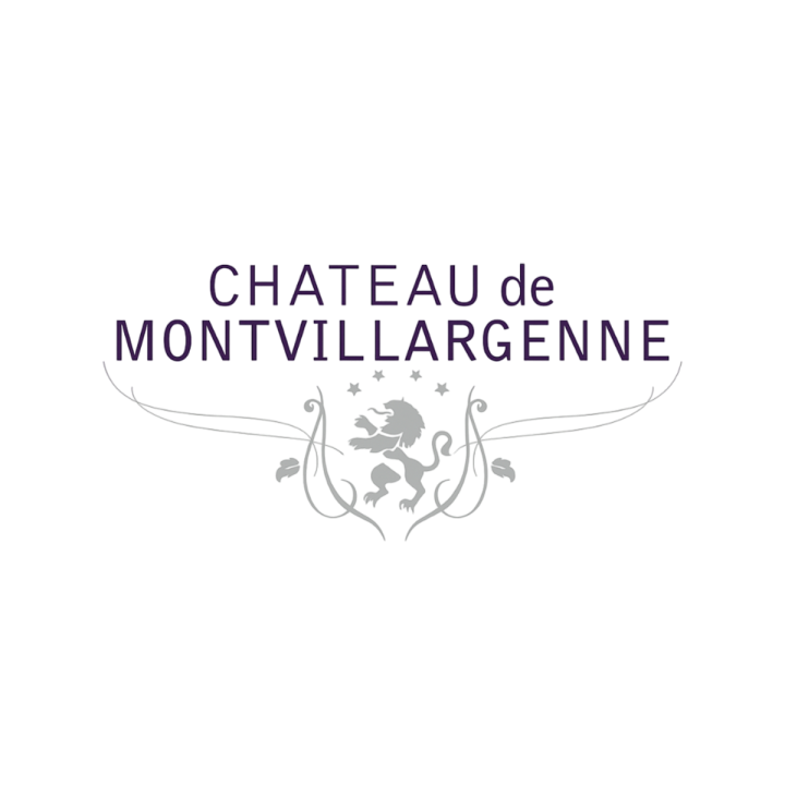 Logo Chateau de Montvillargenne